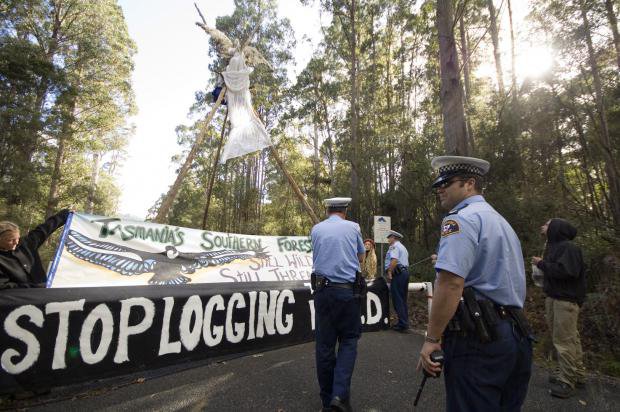 Policeman in Tasmania approaching a protest with banners in the forest