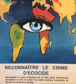Recognise the crime of ecocide - poster.jpg