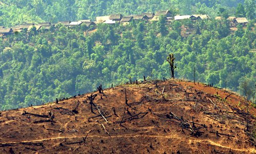 Abrumar dolor Derrotado La CPI investigará la destrucción del medio ambiente, así como los crímenes  de guerra | openDemocracy