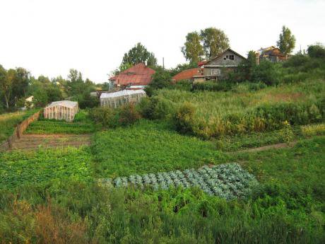 A small scale farm in Russia.