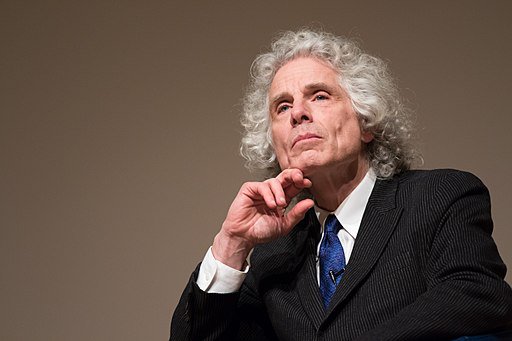 Steven Pinker's ideas are fatally flawed. These eight graphs show why. | openDemocracy