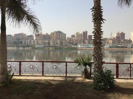 The Nile in Mansura.jpeg