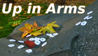 Up in Arms highlights_0.png