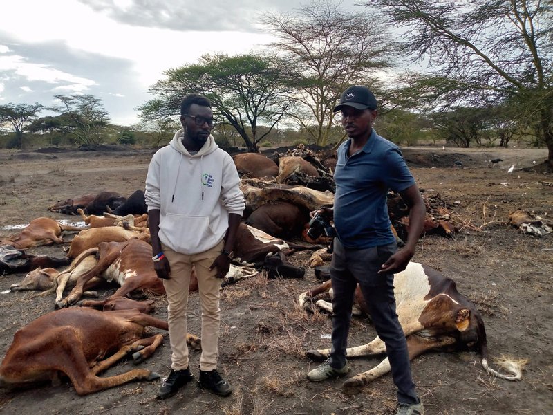 Wakili Kaaka with his livestock in Kajiado that died during COP27.