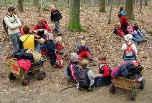 Waldkindergarten_0.jpg