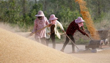 Wheat farmers in China.jpg