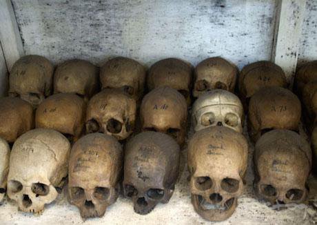 Skulls in Indonesia.