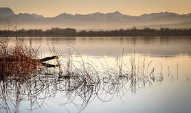 ammersee-lake-water-bavaria-landscape-nature-royalty-free-thumbnail.jpg