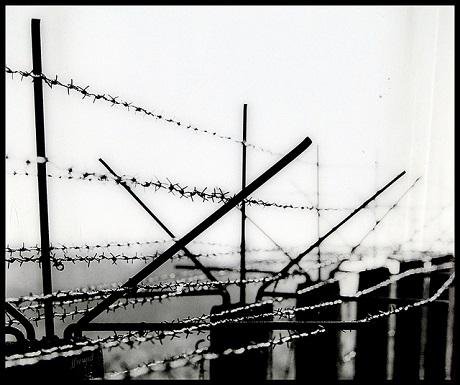 barbed wire.jpg
