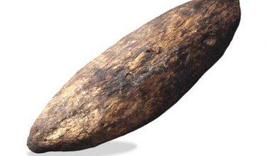 A long shield made of bark