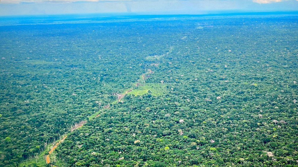 Caminos creados ilegalmente en la selva amazónica colombiana.