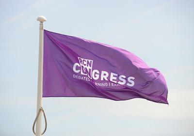 congress-flag.jpg