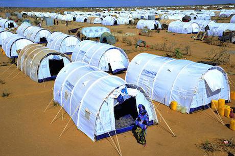 Dada is the largest refugee complex in the world. Alex Kamweru/Demotix. All rights reserved.
