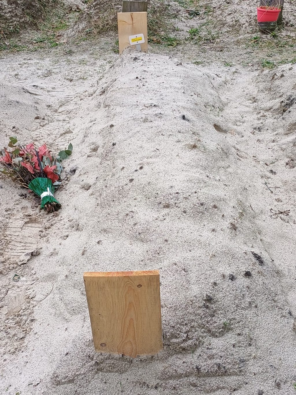 A sandy grave with a board for a tombstone and flowers to the left
