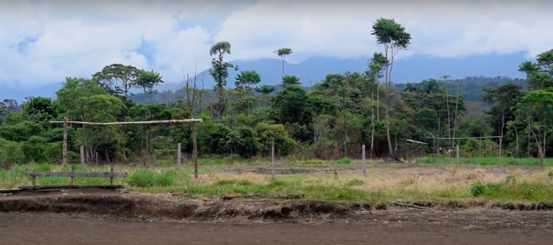 Los indígenas del pueblo Awá en Colombia y Ecuador buscan crear un corredor natural.