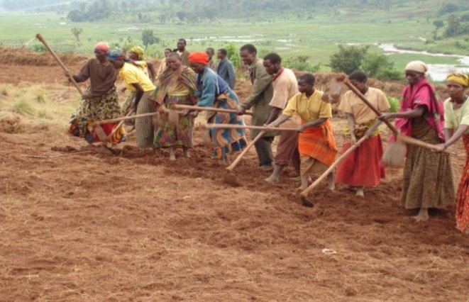 image of women working a field