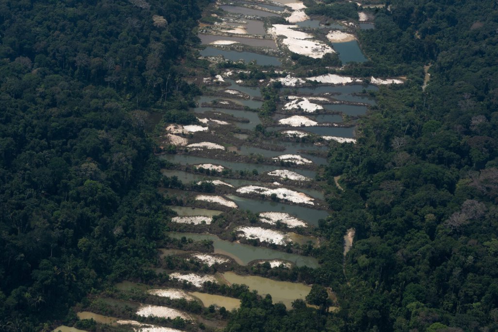 mineria-ilegal-amazonia_FlaviaMilhorance_DSC05442-1440x960-1.jpeg
