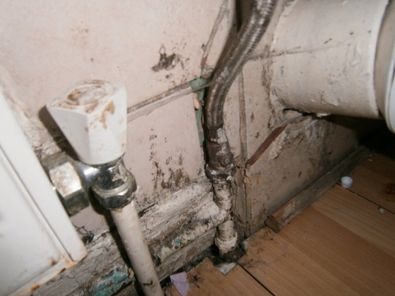 mould%20small.jpg