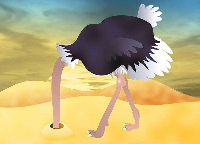 ostrich-clip-art.jpg