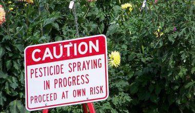 pesticide risk.jpg