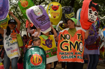 Mothers protest GMO Rice on World Environment Day