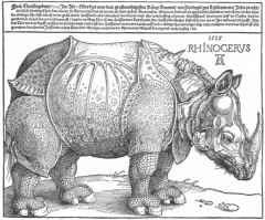 rhinocerus_0.png