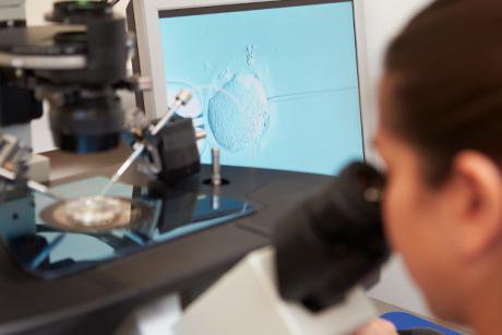 Laboratory worker uses a microscope, computer monitor and syringe to fertilise an egg.