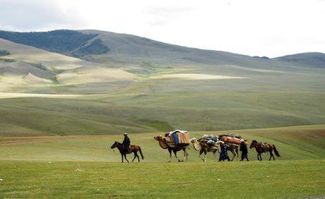 Caravan in Mongolia. Shutterstock/ Allocricetulus. All rights reserved.