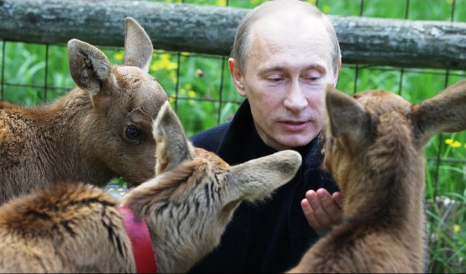 soft Putin.jpg