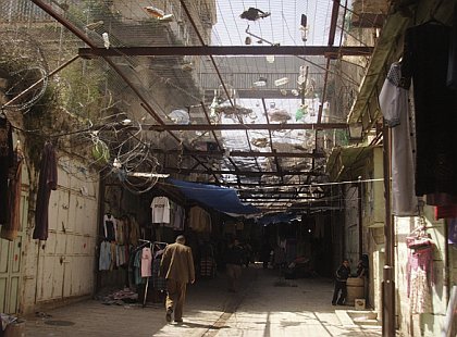 sumud2.jpg