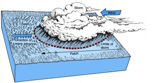 In search of the perfect wave | openDemocracy