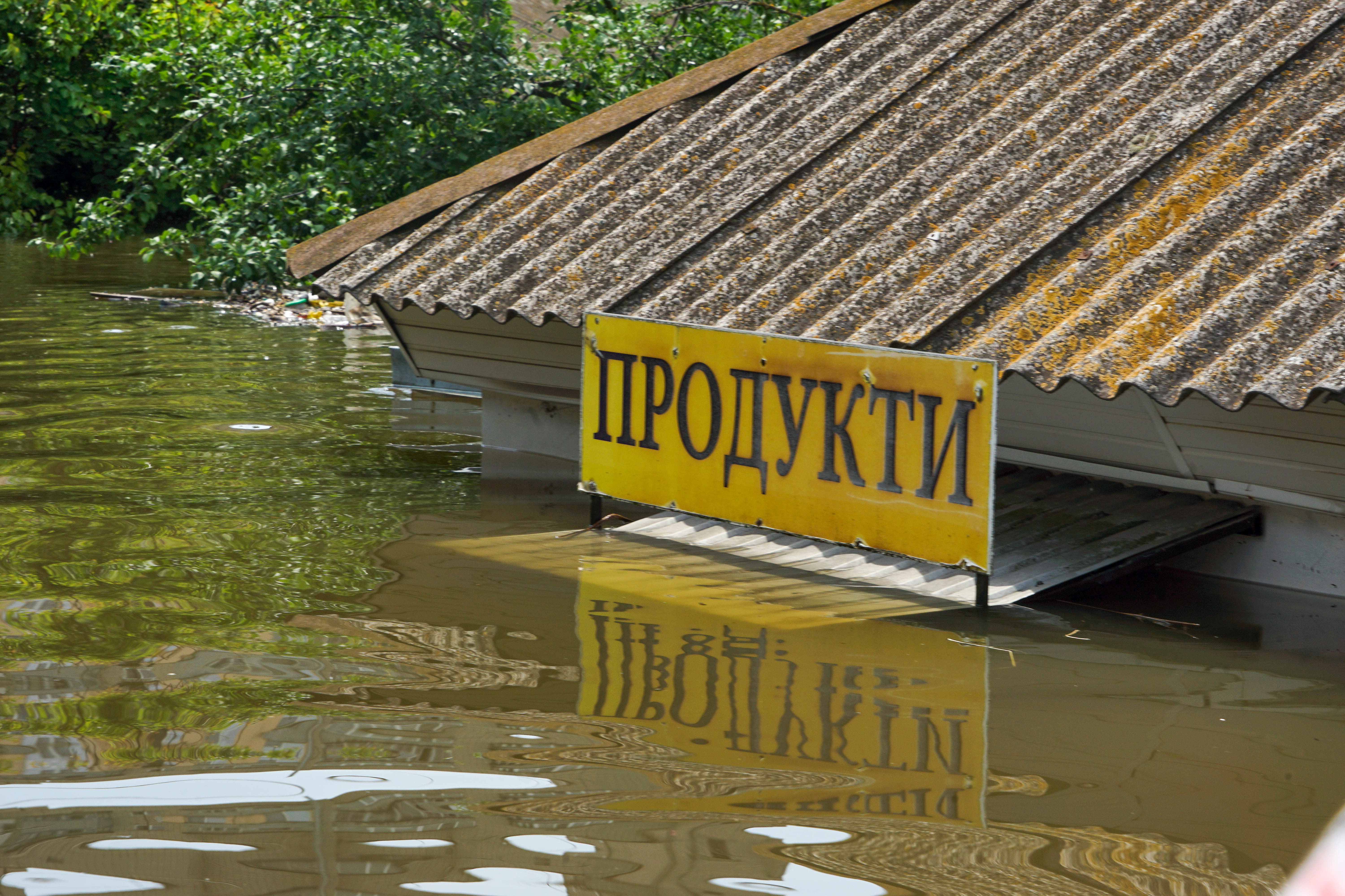 Не думал, что когда-нибудь увижу это своими глазами